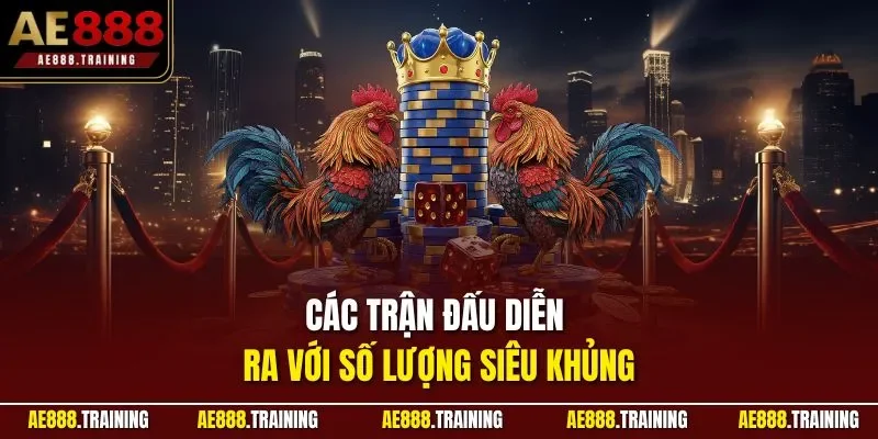 Các trận đấu diễn ra với số lượng siêu khủng