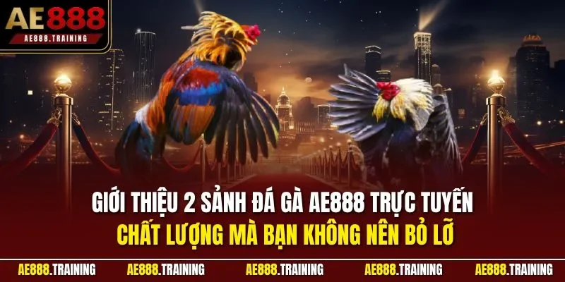 Giới thiệu 2 sảnh đá gà AE888 trực tuyến chất lượng mà bạn không nên bỏ lỡ
