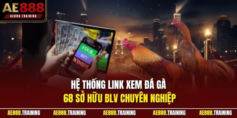 Hệ thống link xem đá gà 68 sở hữu BLV chuyên nghiệp