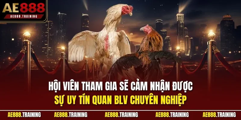 Hội viên tham gia sẽ cảm nhận được sự uy tín quan BLV chuyên nghiệp