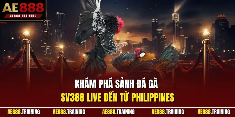 Khám phá sảnh đá gà SV388 live đến từ Philippines