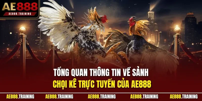Tổng quan thông tin về sảnh chọi kê trực tuyến của AE888